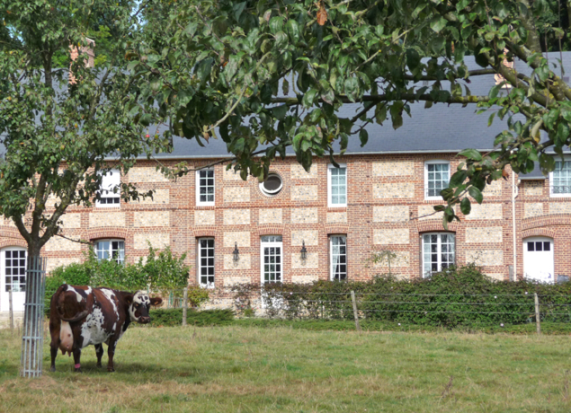 Photo de Ferme RUETTE <br> Le moulin d'Agnès: farines, spécialité céréalière, nouille, préparations gourmandes sucrées
