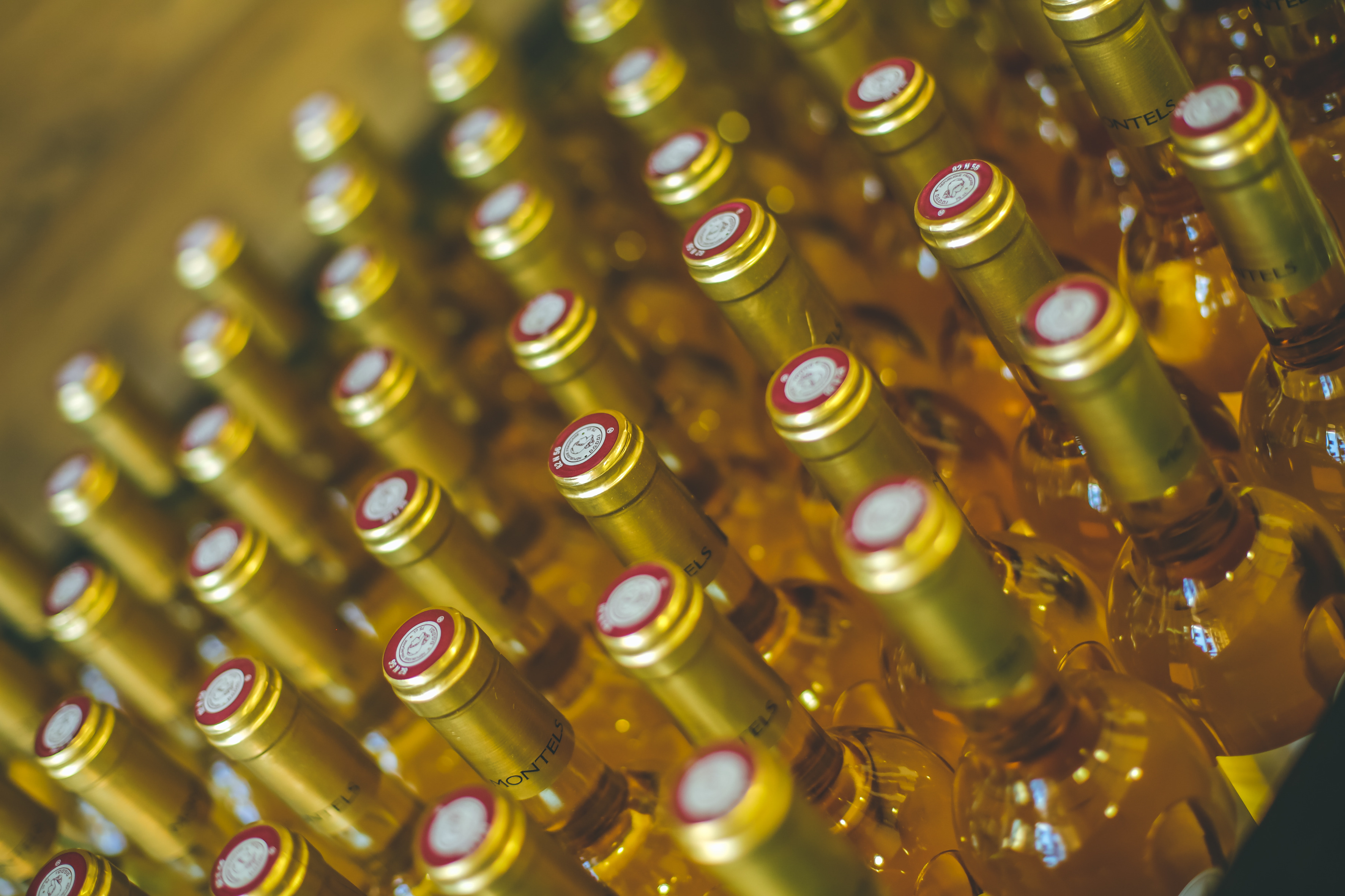 Photo de VIGNOBLES ROMAIN