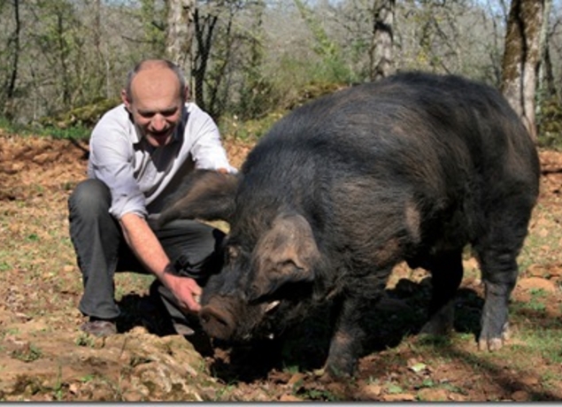 Photo de Le Mas de Monille