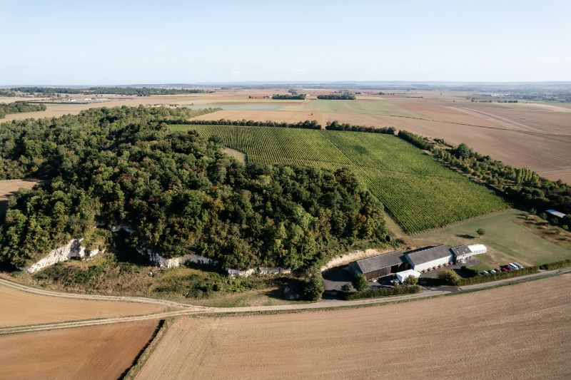 Photo de Visite guidée du domaine et dégustation
