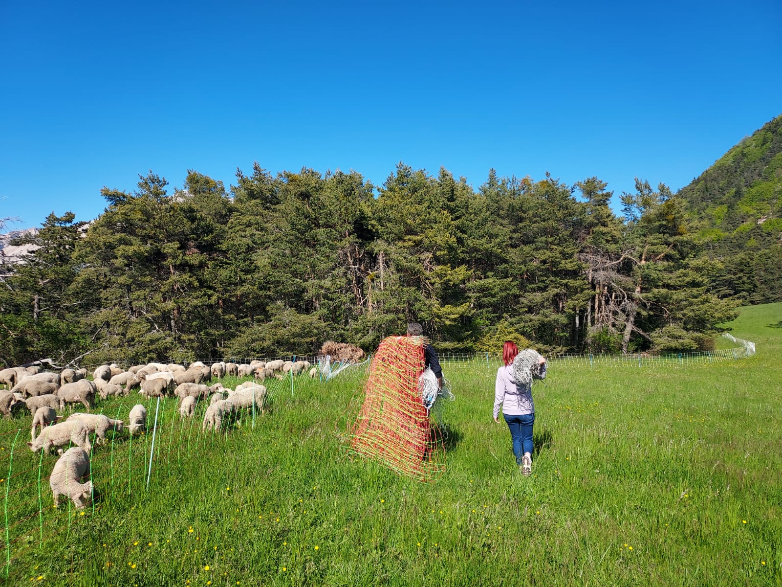 Photo de La ferme de mon père