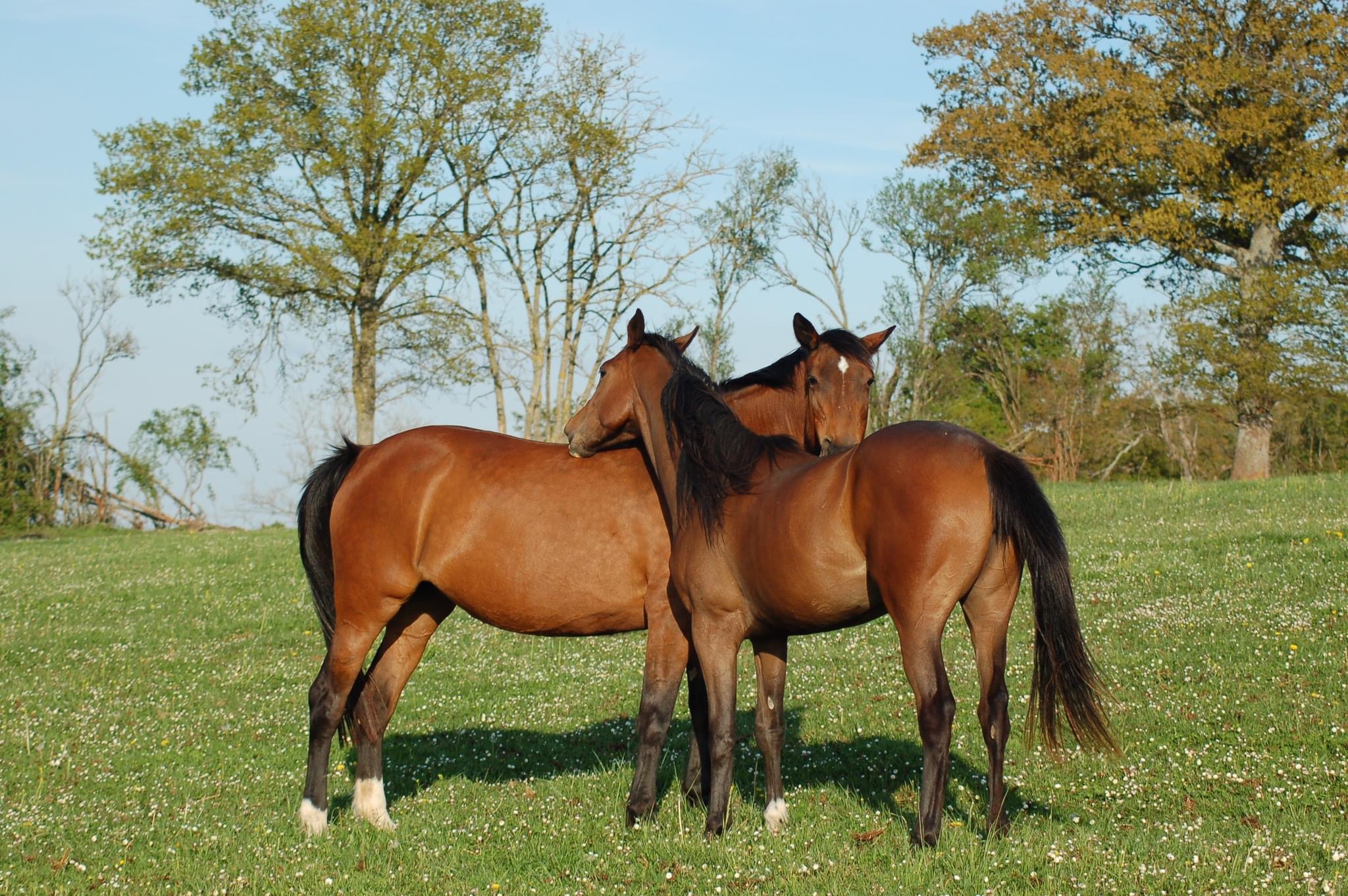 Photo de Visite complète de l’exploitation 
