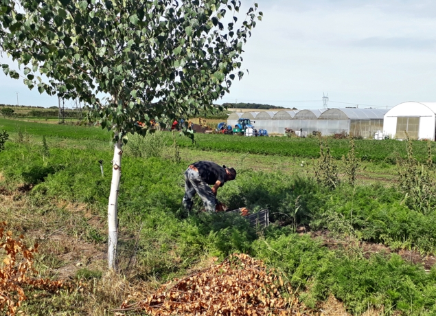 Photo de MAURICE DE POINCY