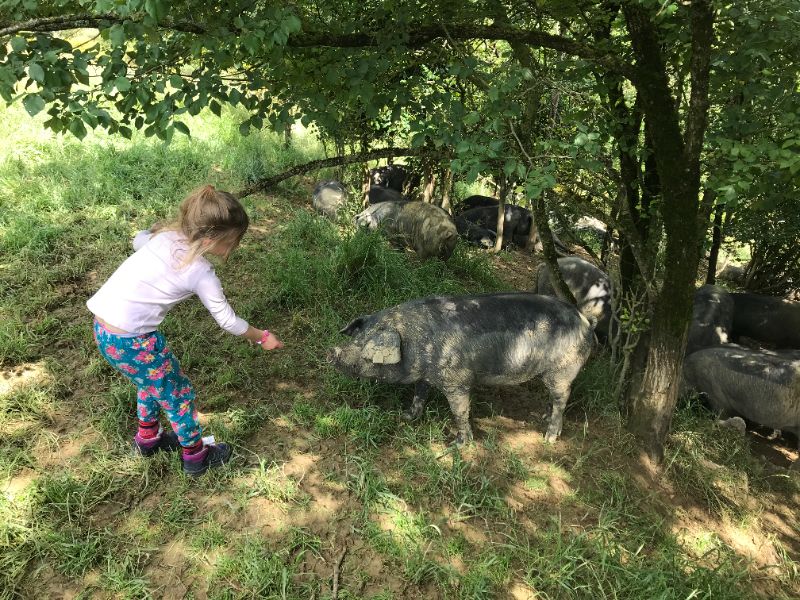 Photo de Devenez éleveur d'un jour