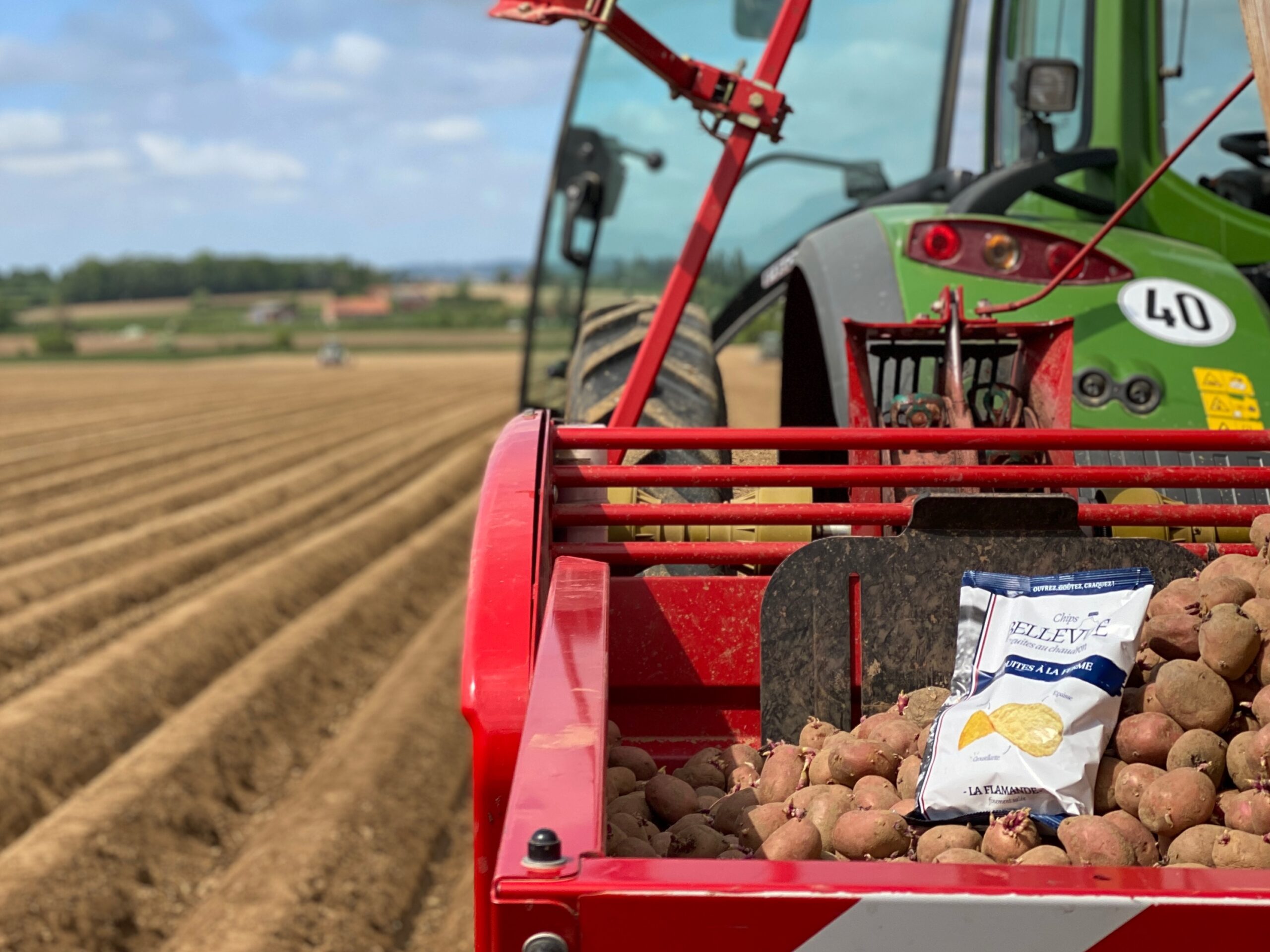 Photo de Immersion au coeur d'une chipserie fermière