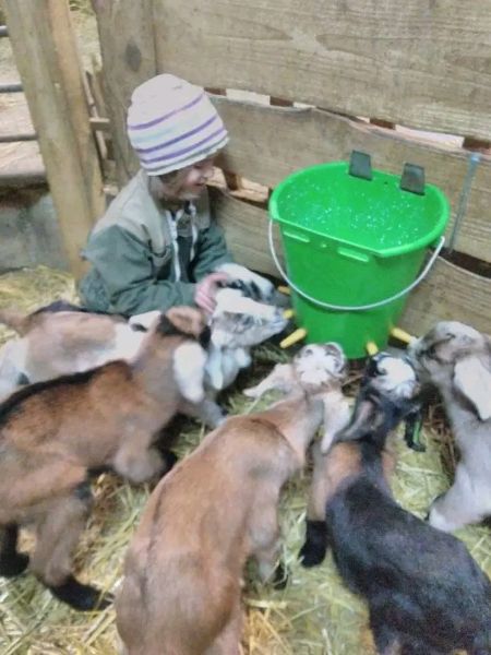 Photo de Découverte de la Ferme