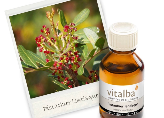 VITALBA Distillerie  Listincu