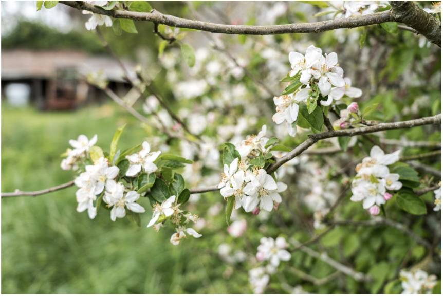 Domaine de Richecourt