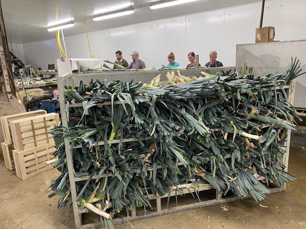 Photo de Visite complète de l'exploitation