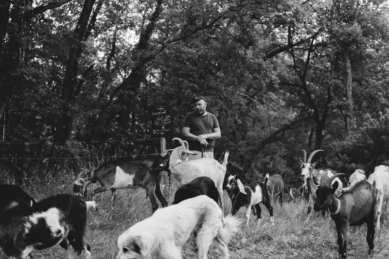 Photo de Rando biquette 