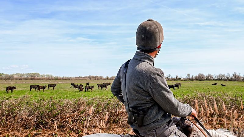 Photo de Balade à cheval