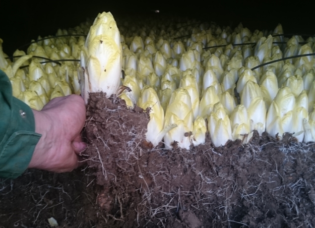 Photo de MAURICE DE POINCY