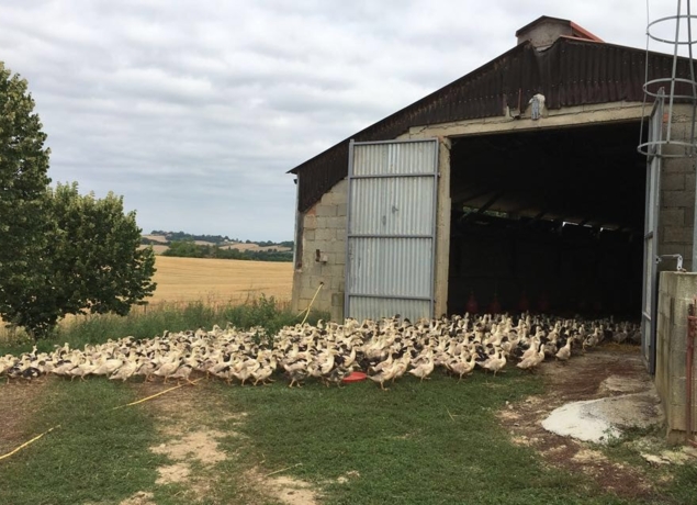 Photo de Ferme aux 4 Chênes