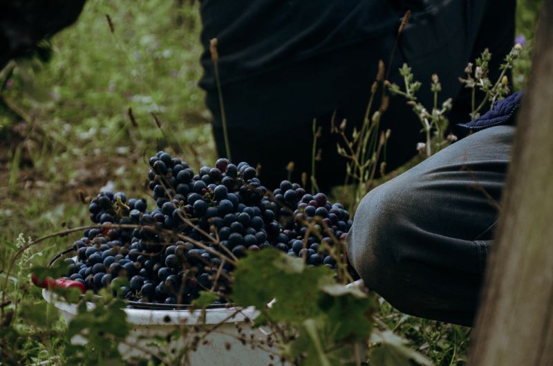 Photo de Visite Découverte