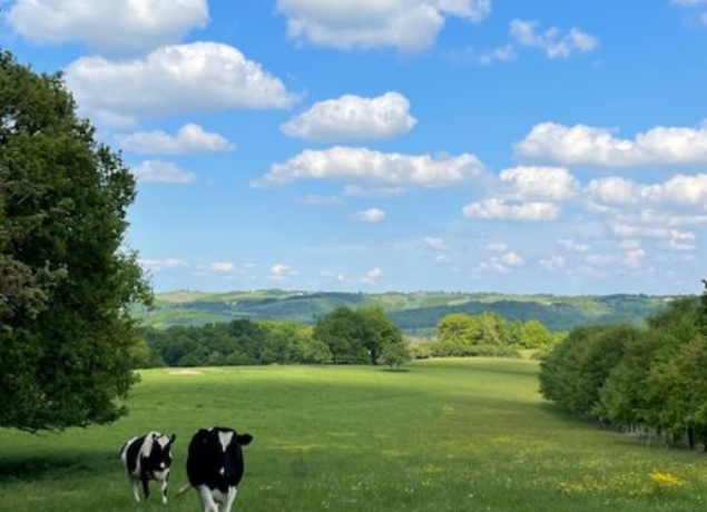 Photo de Ferme aux 4 Chênes