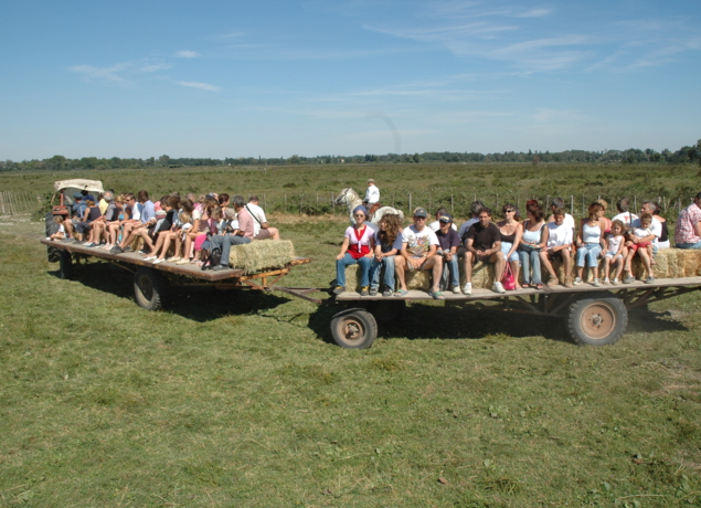 Photo de Manade des Chanoines