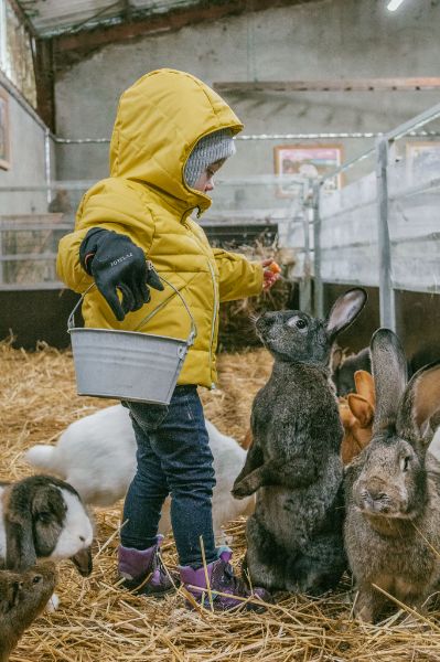 Photo de Visite ferme pédagogique