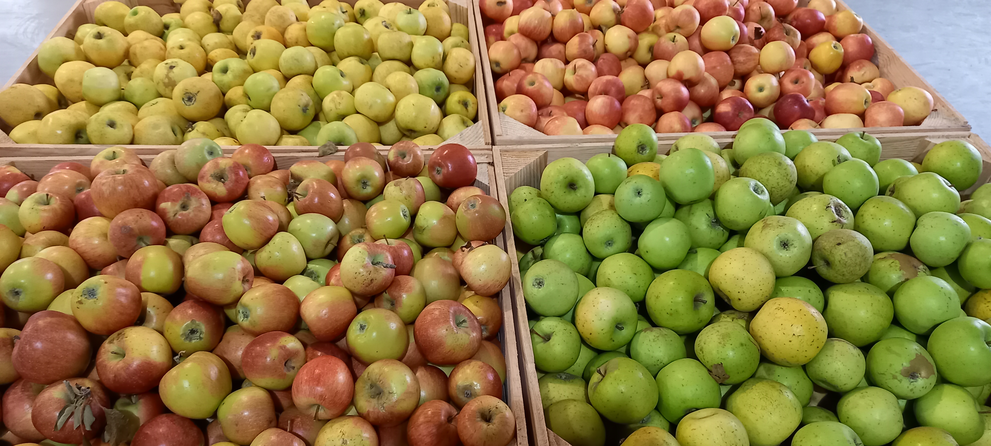 Photo de Verger de Candie