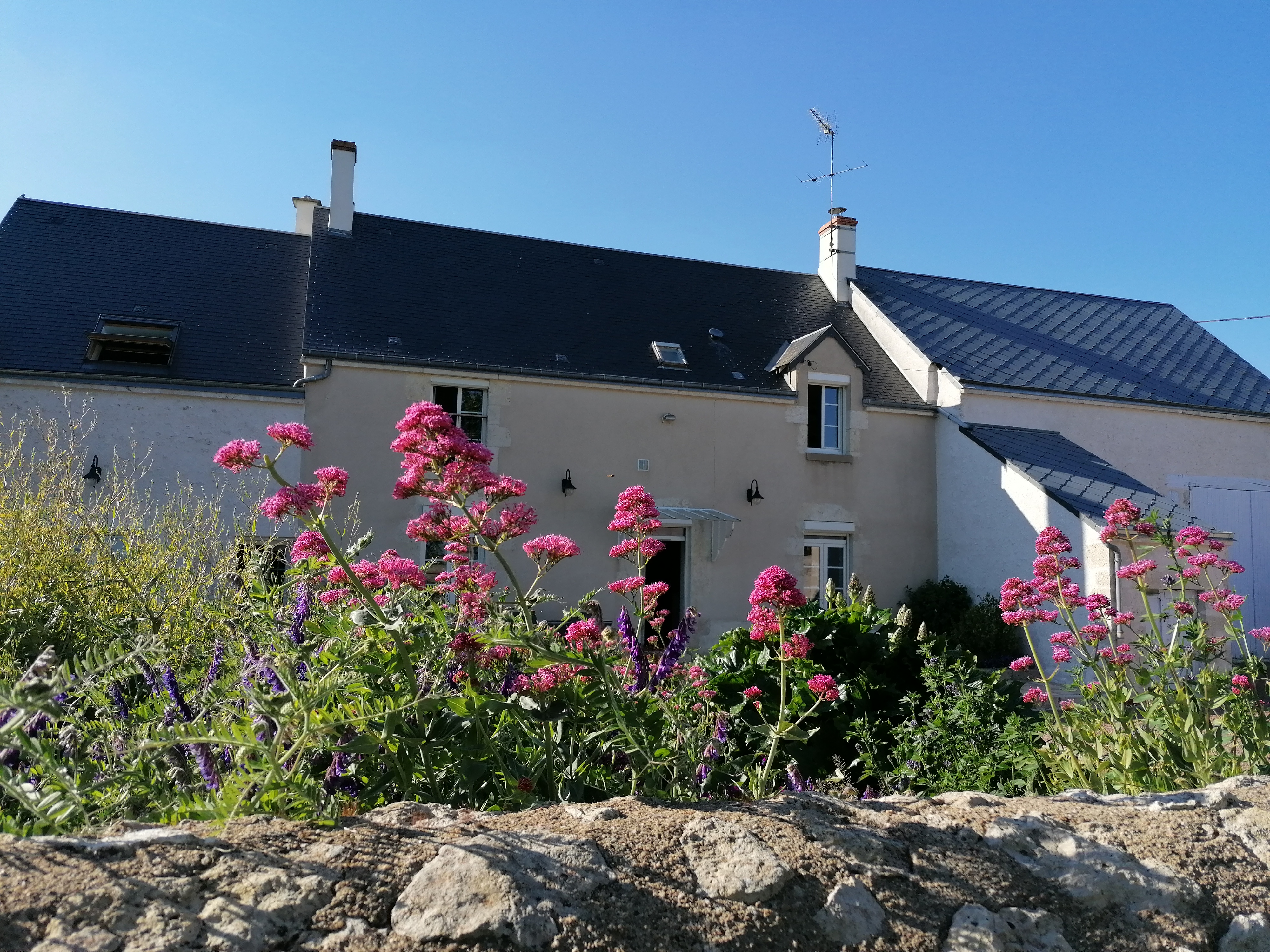 Photo de Gîte d'Alice