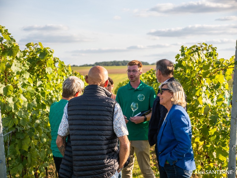 Photo de Découverte du vignoble Haut Escaut