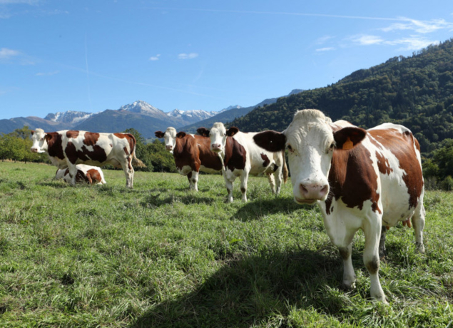 Photo de La Ferme des Valnoix