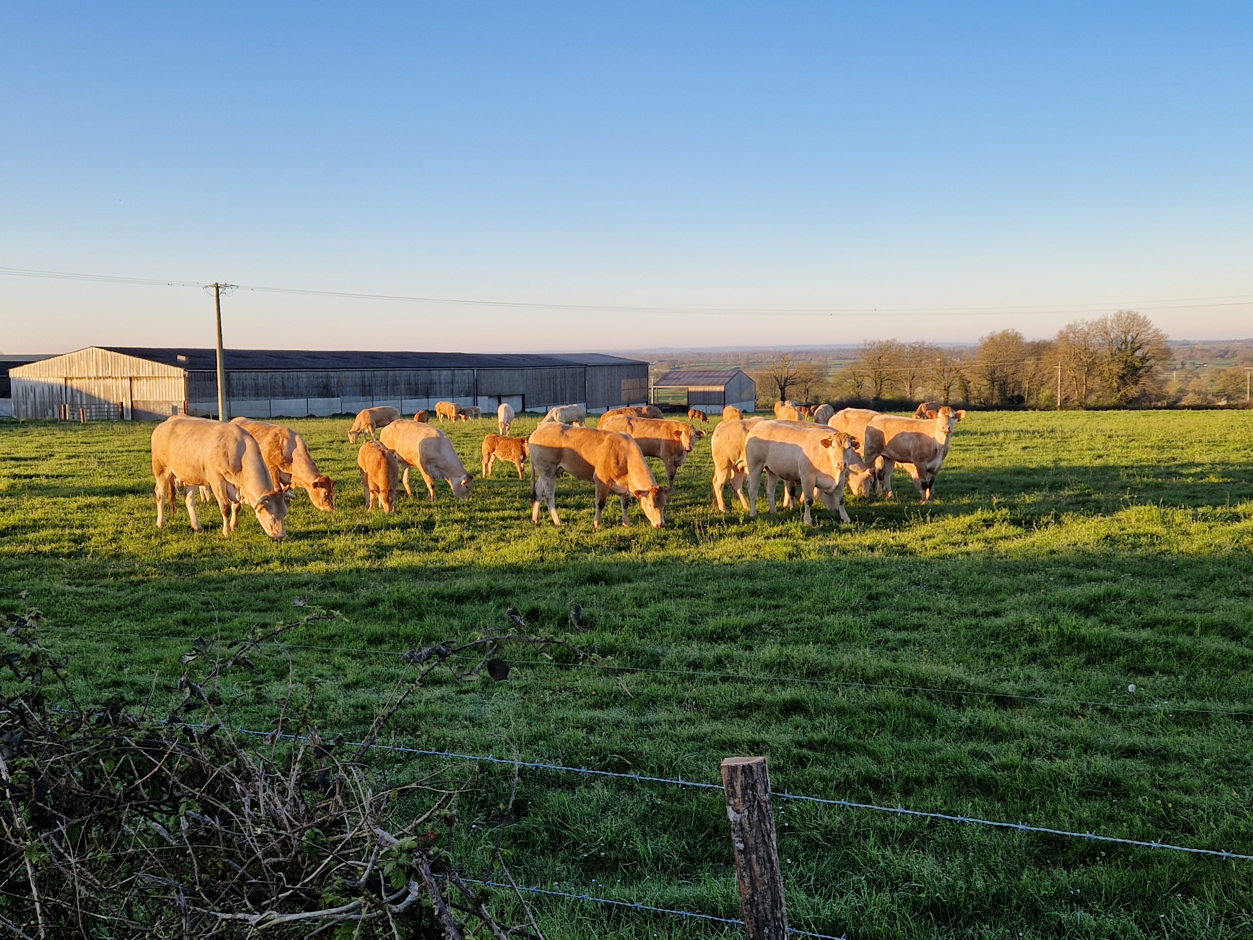 Photo de GAEC VILLENEUVE