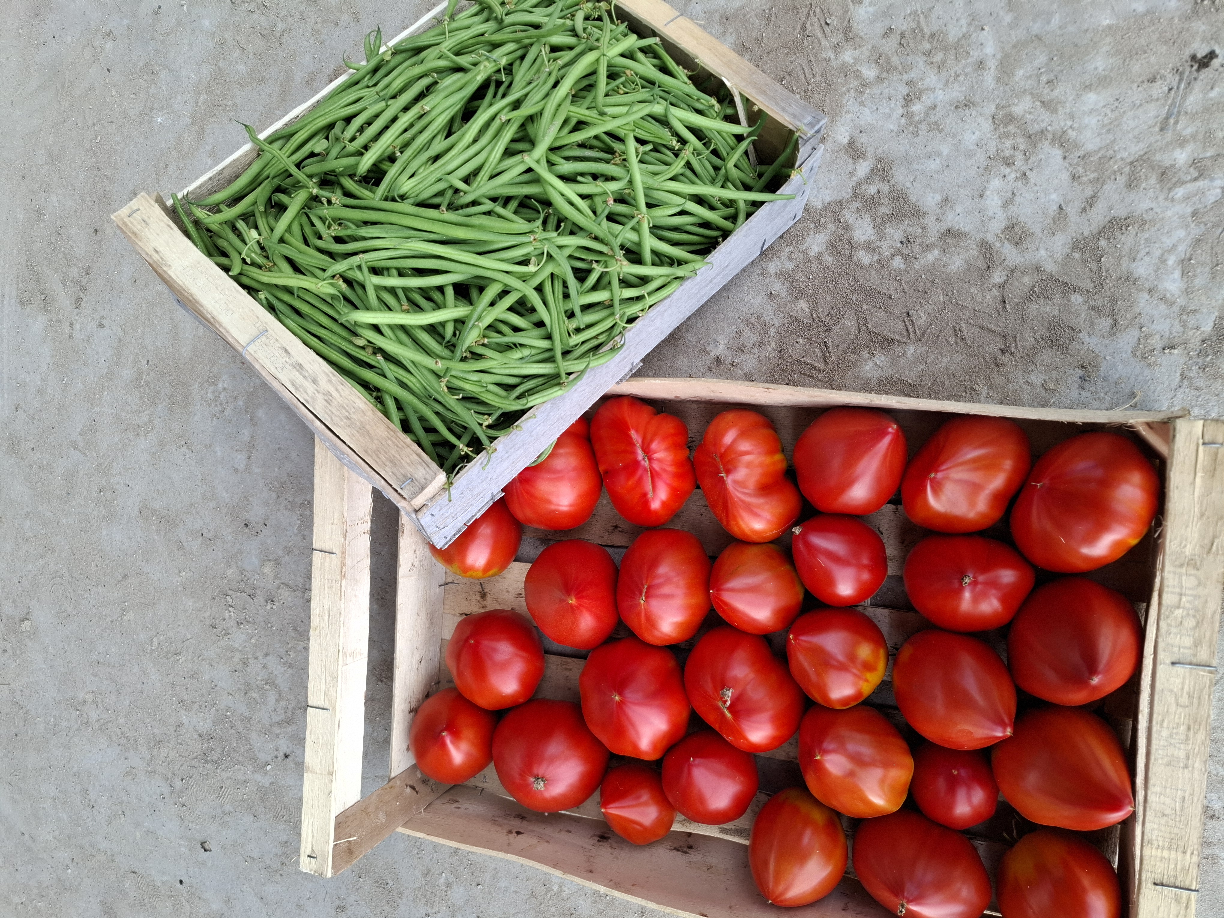 Photo de Le petit coin bio