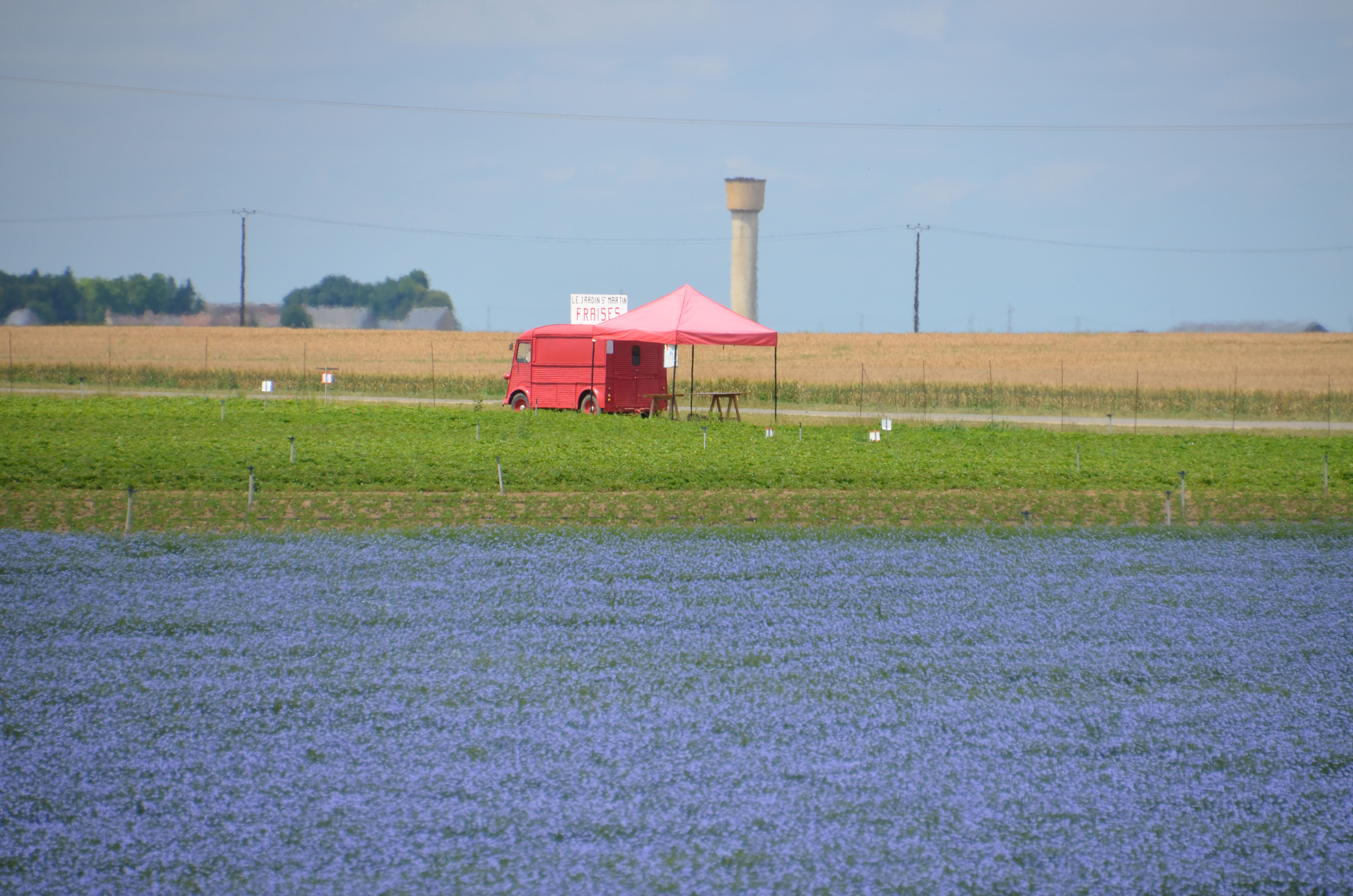 Photo de Jardin Saint Martin