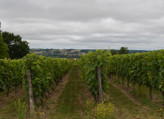 Photo de Domaine de Cézin