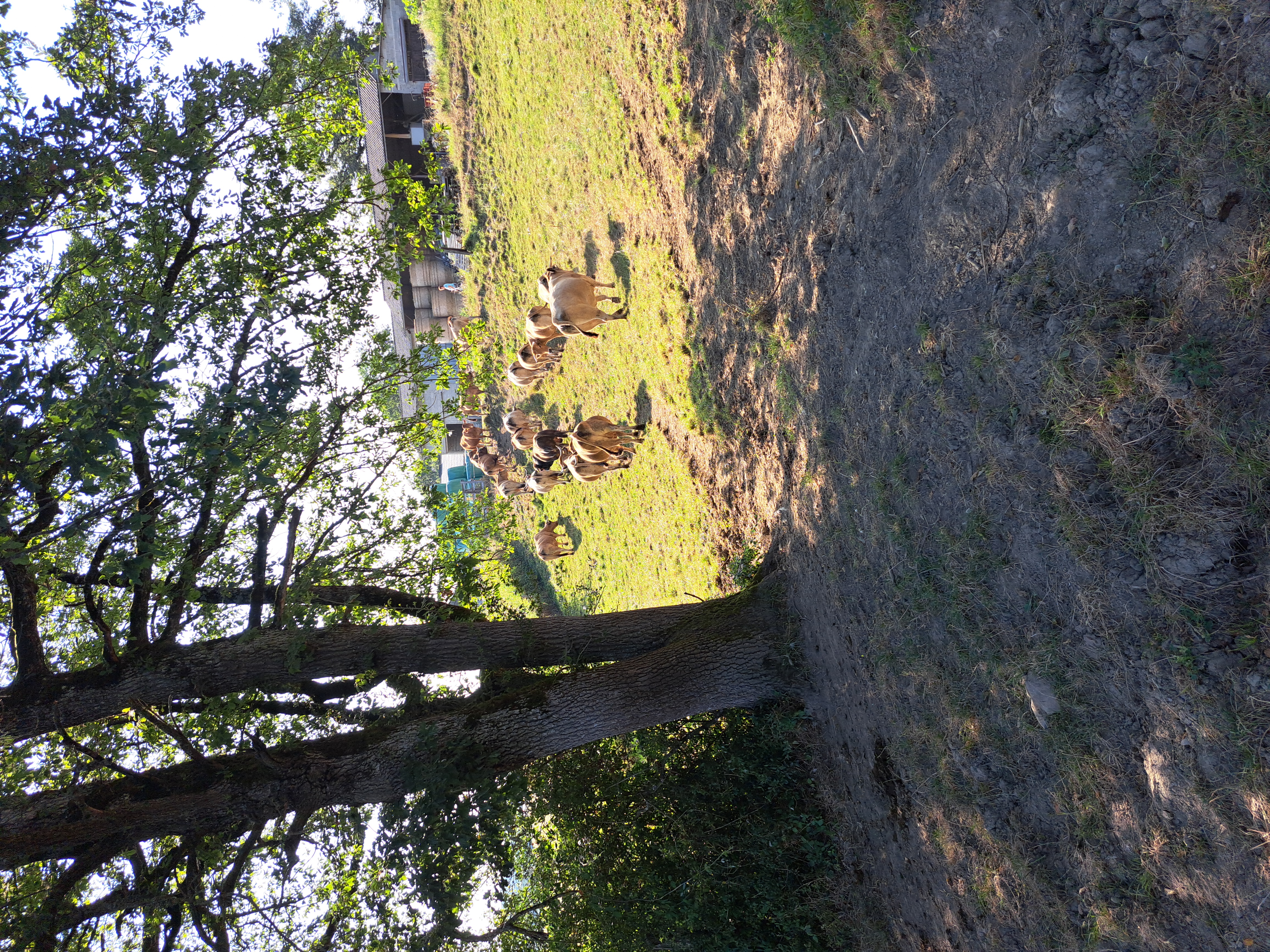 Gaec ferme de palayret 