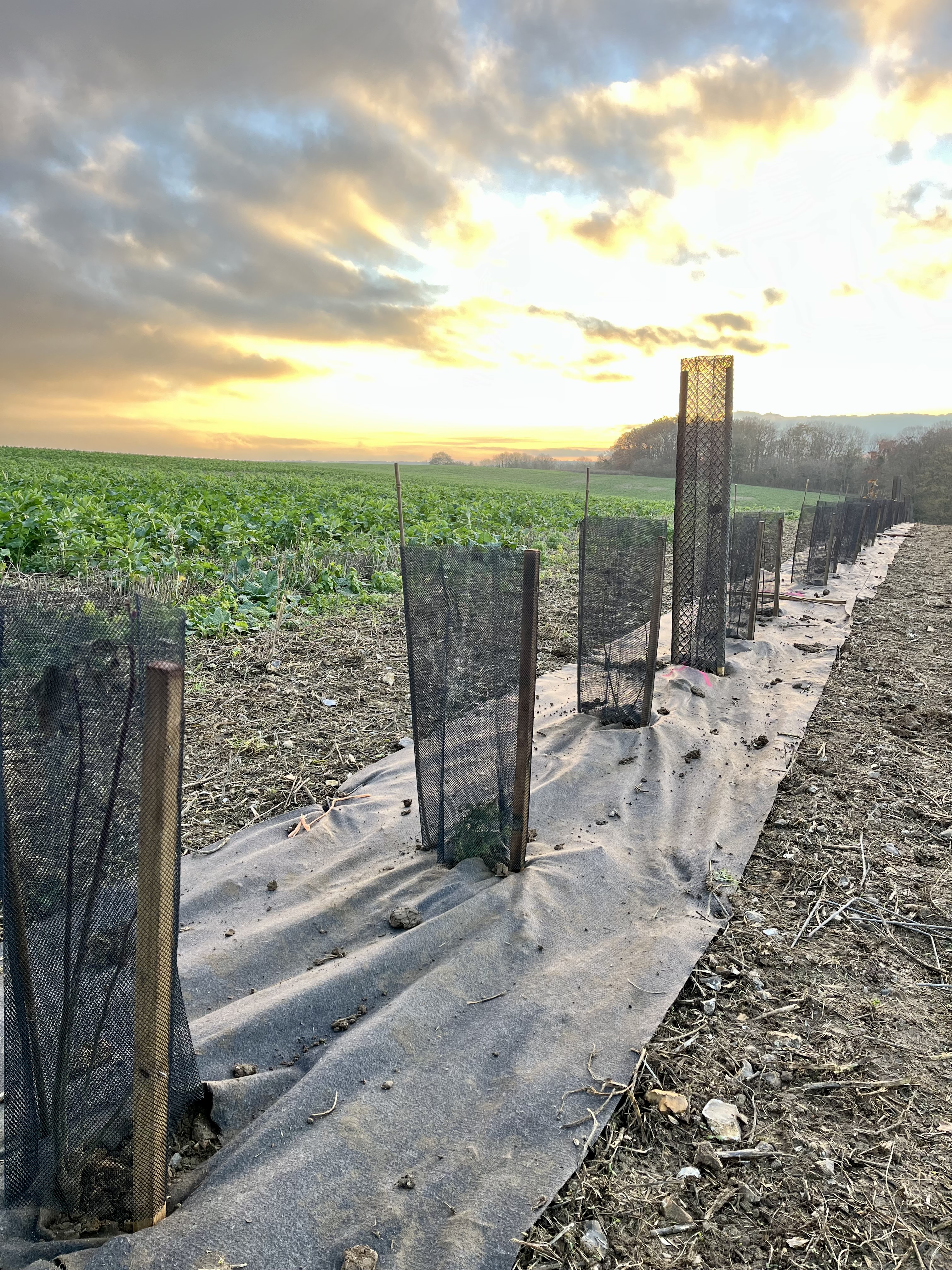 Photo de Formation en agriculture régénératrice