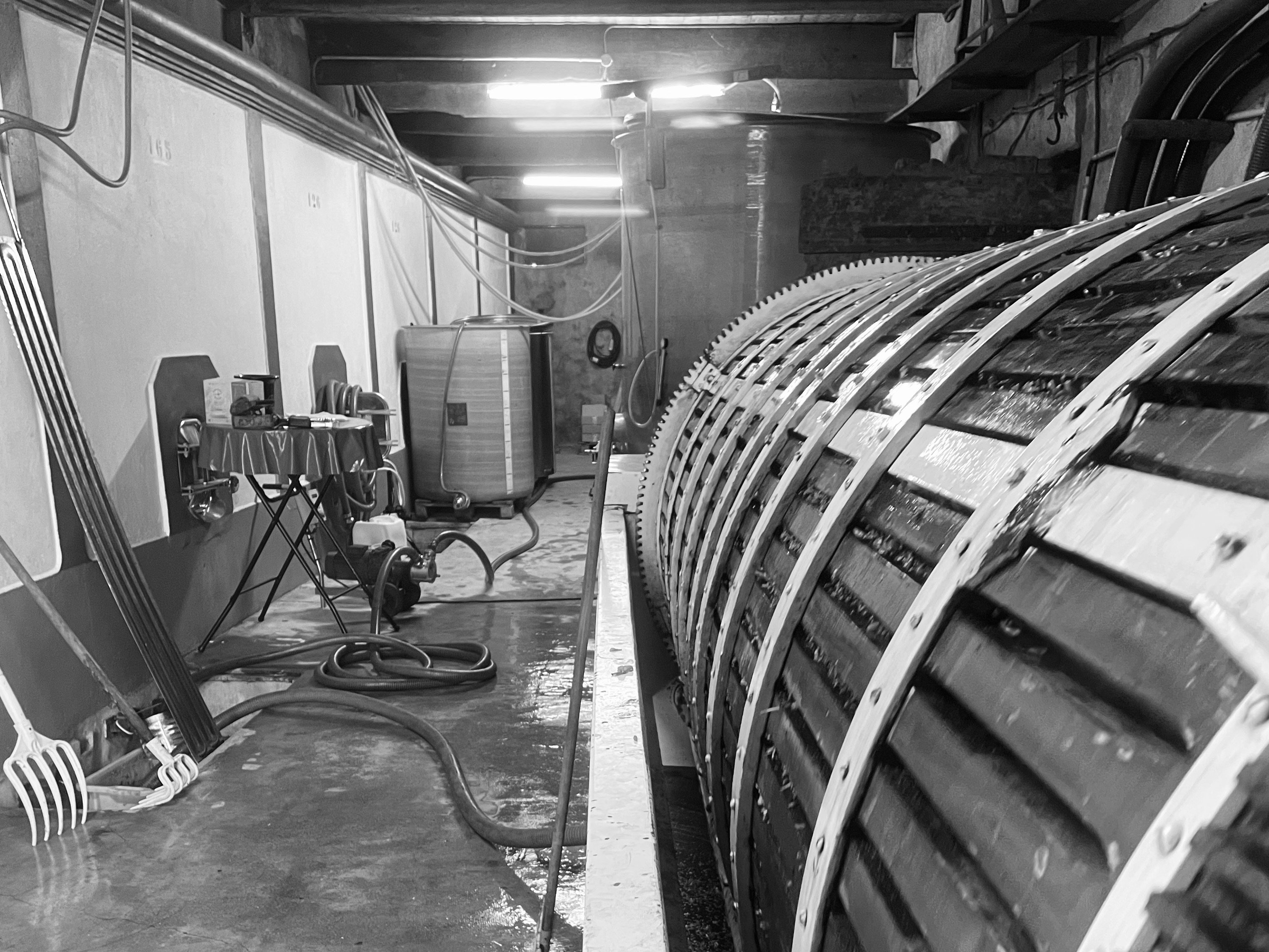 Photo de Dégustation et visite oenotouristique