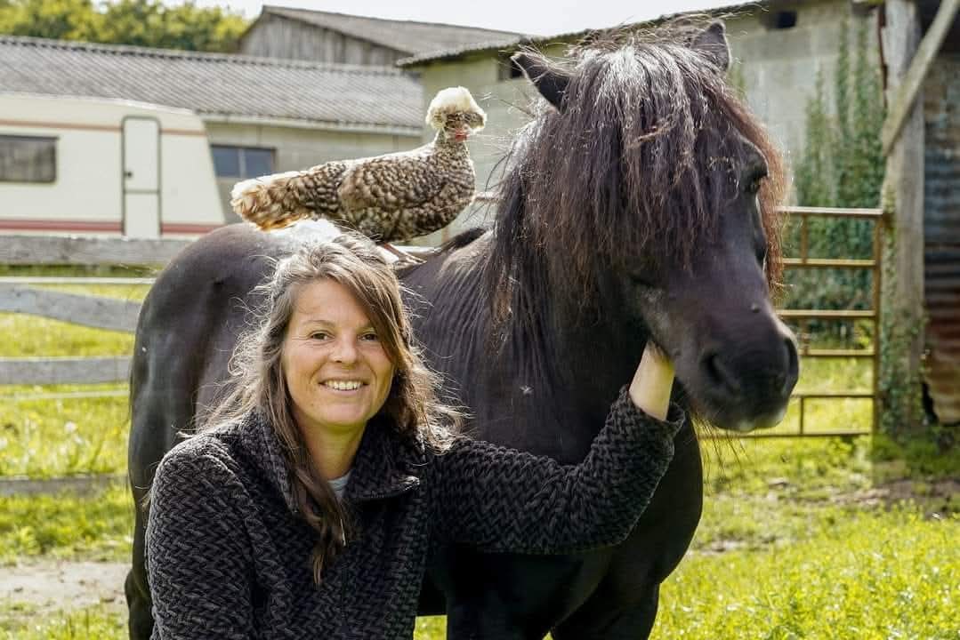 Photo de Eco ferme pédagogique de Chambesne centre équi social 