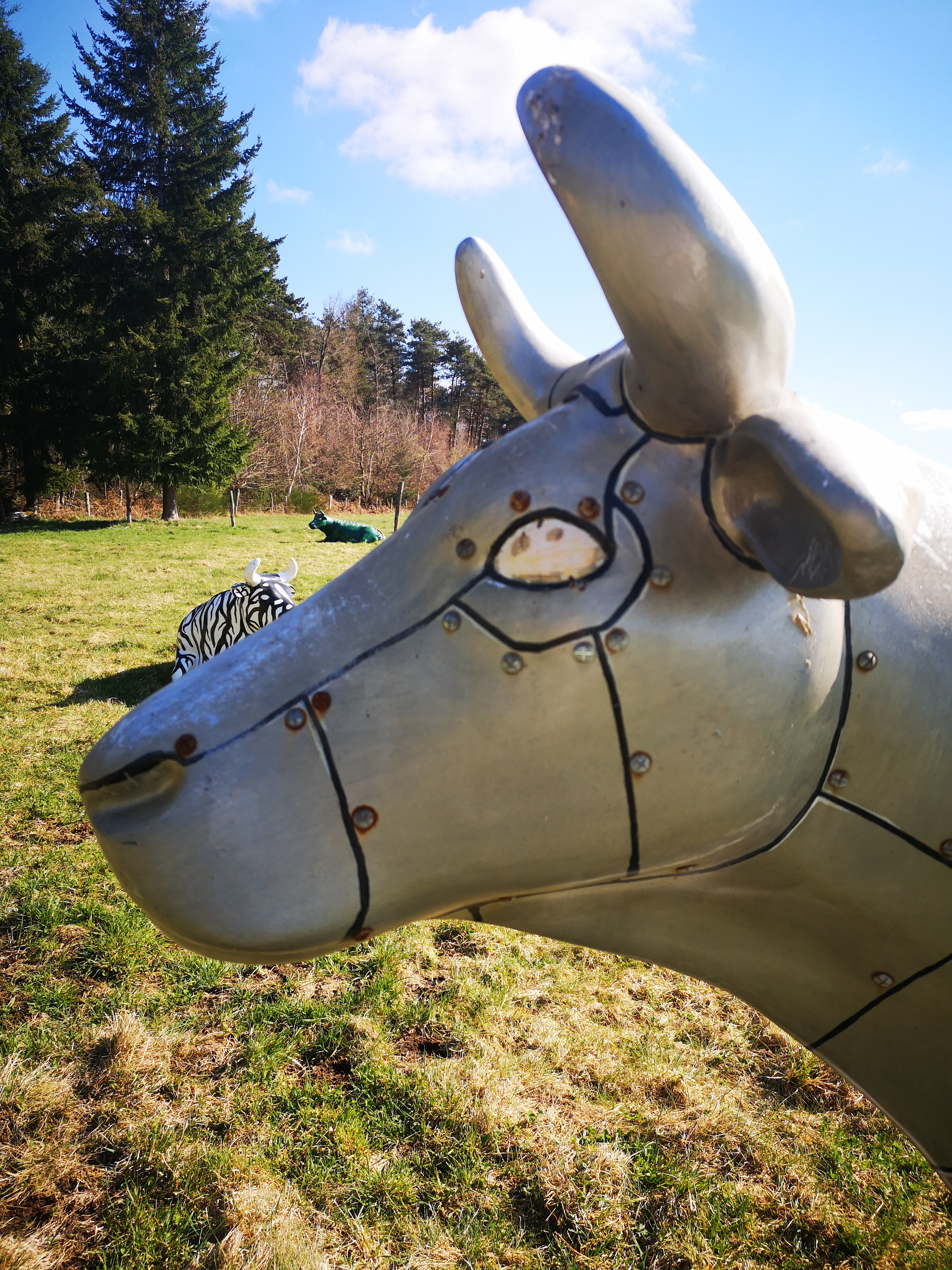 Photo de LA FERME DE LA BITARELLE - 