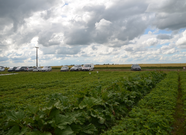 Photo de Jardin Saint Martin