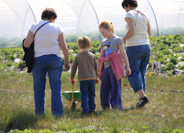 Photo de CUEILLETTE DE HOYMILLE - Magasin La ferme du Chêne Vert