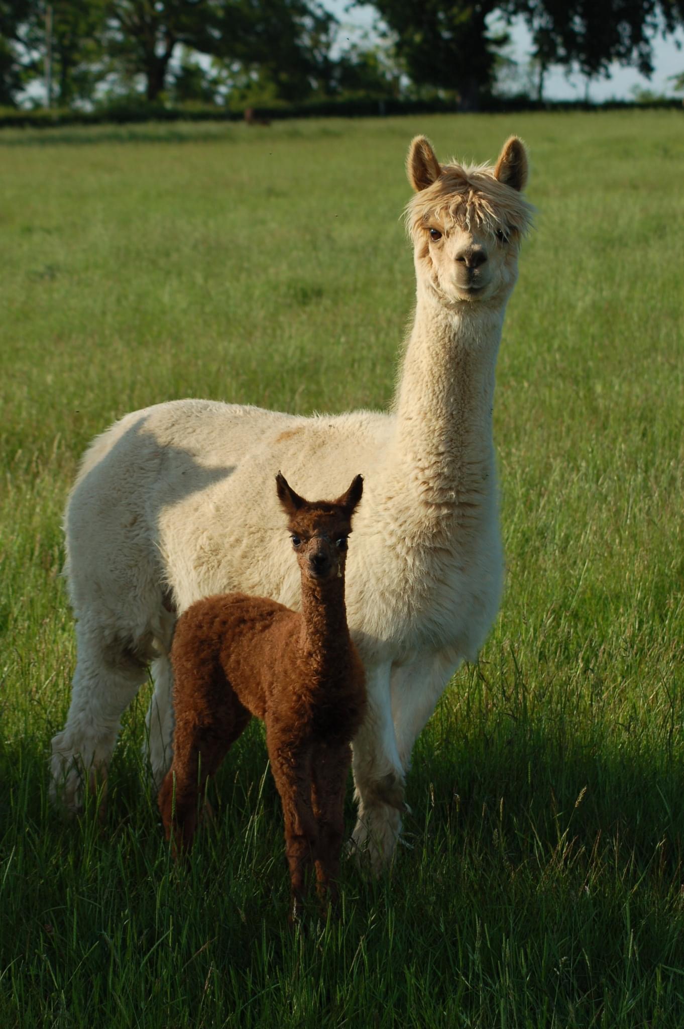 Photo de Visite complète de l’exploitation 