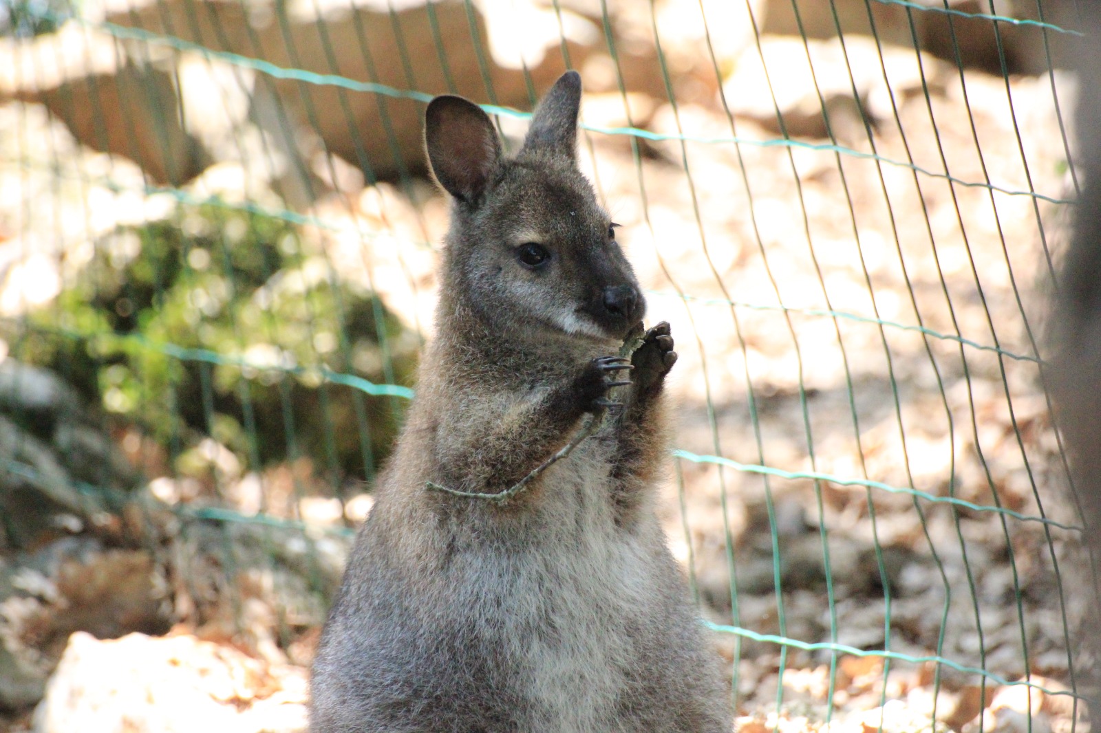 Photo de Les ecuries d’edoras