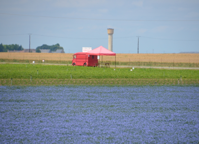 Photo de Jardin Saint Martin