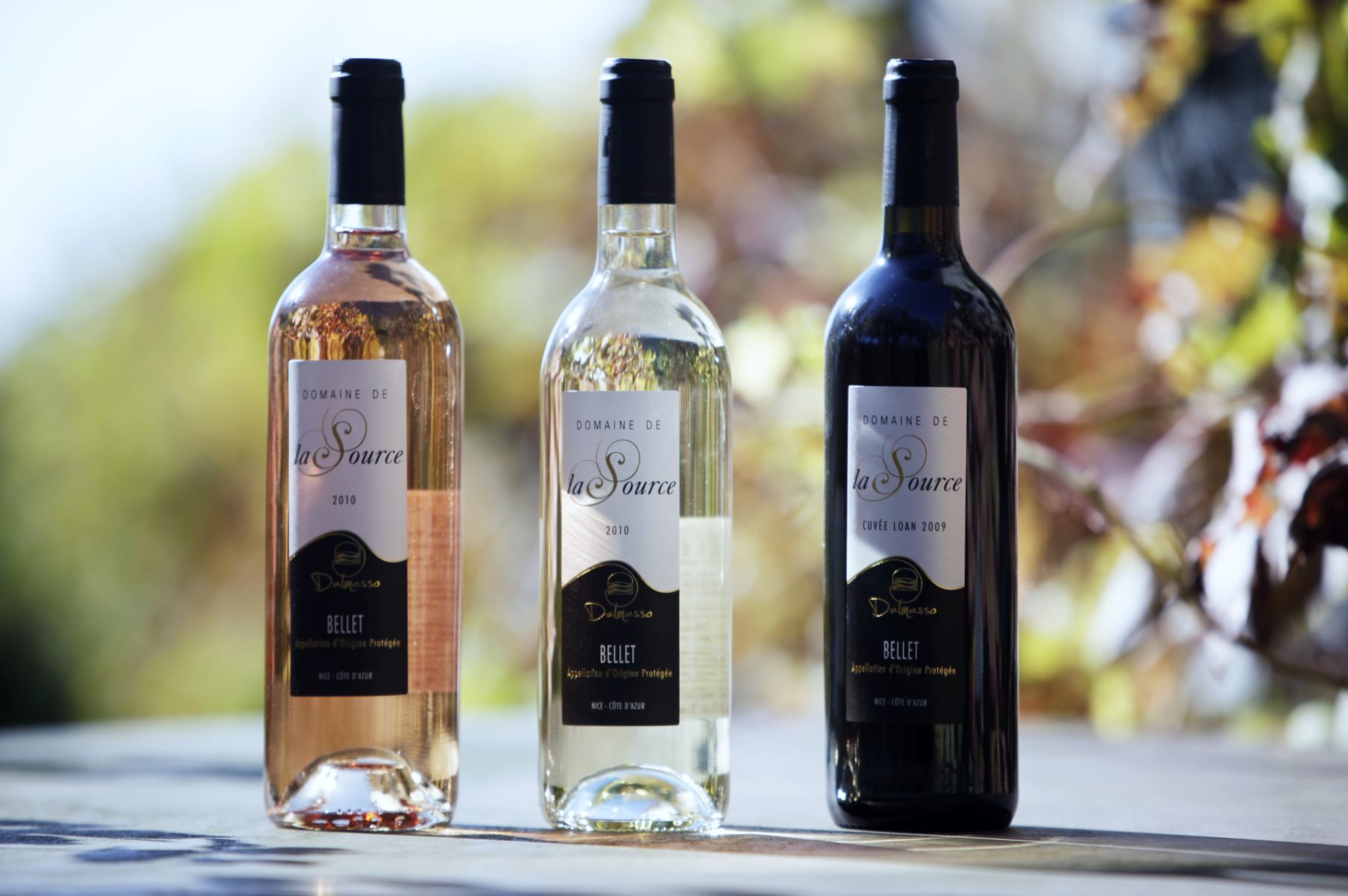 Photo de Domaine de la Source