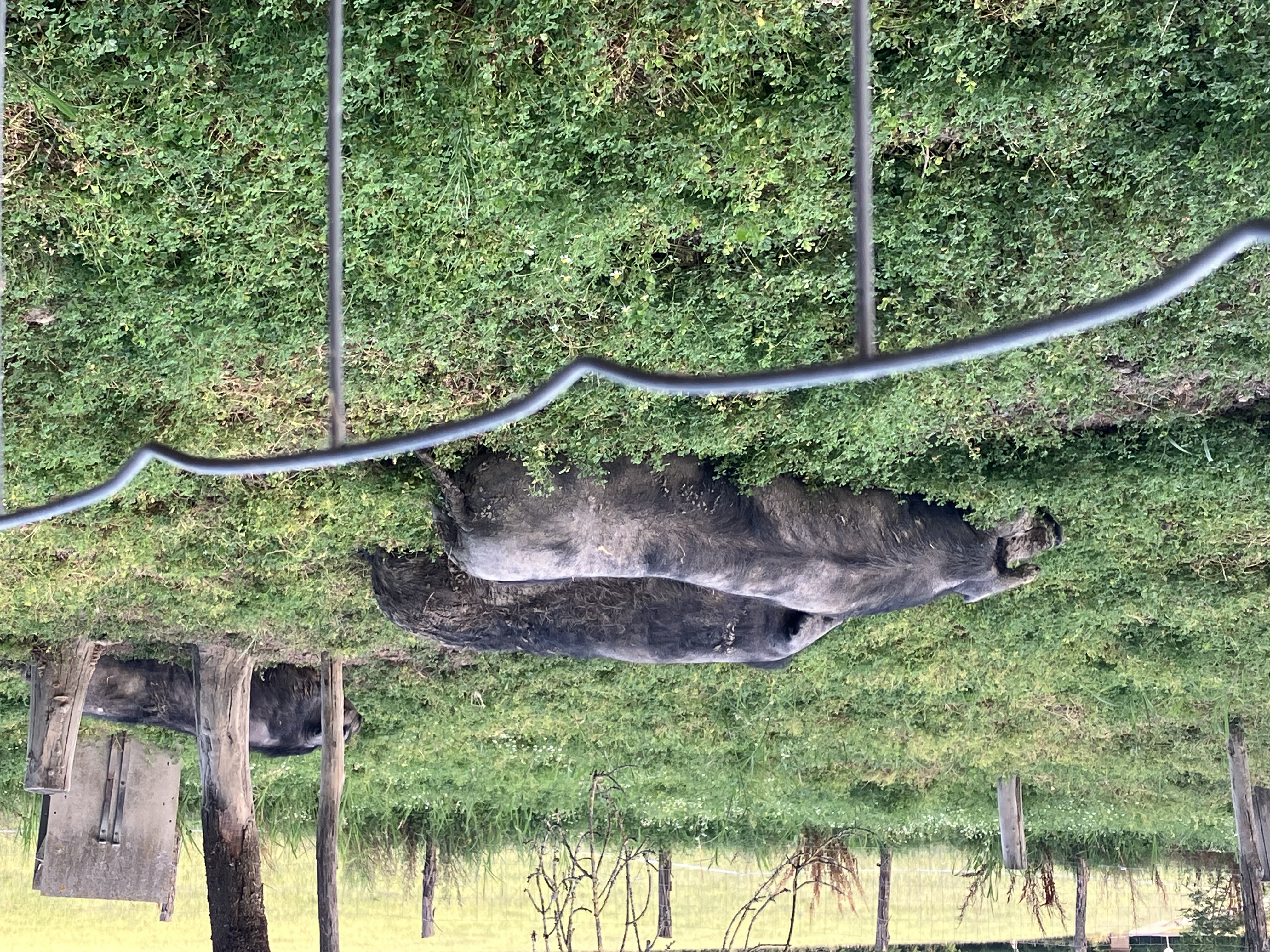 Photo de Ferme du Roussel