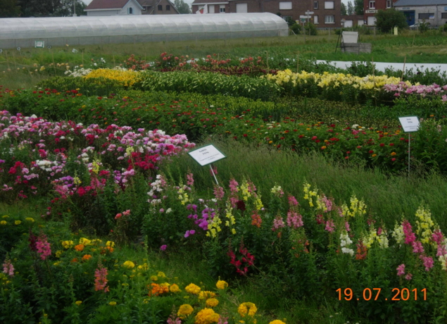 Photo de CUEILLETTE DE HOYMILLE - Magasin La ferme du Chêne Vert