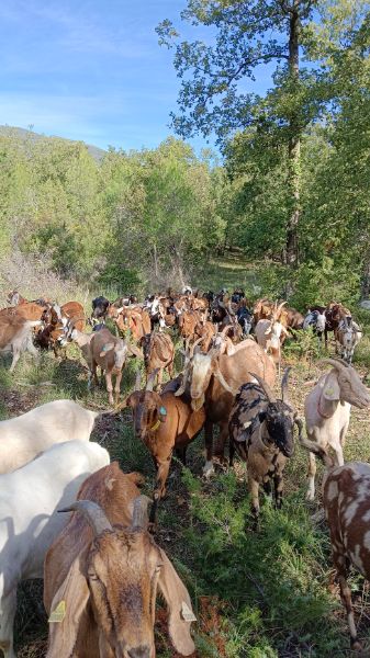 Photo de Rando biquette 