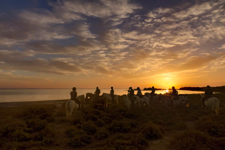 Photo de Mas Saint Germain