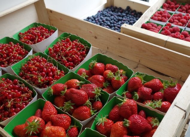 Photo de EARL LA COLLINE AUX FRUITS - Alvina Nauche et Thierry Bouillaguet