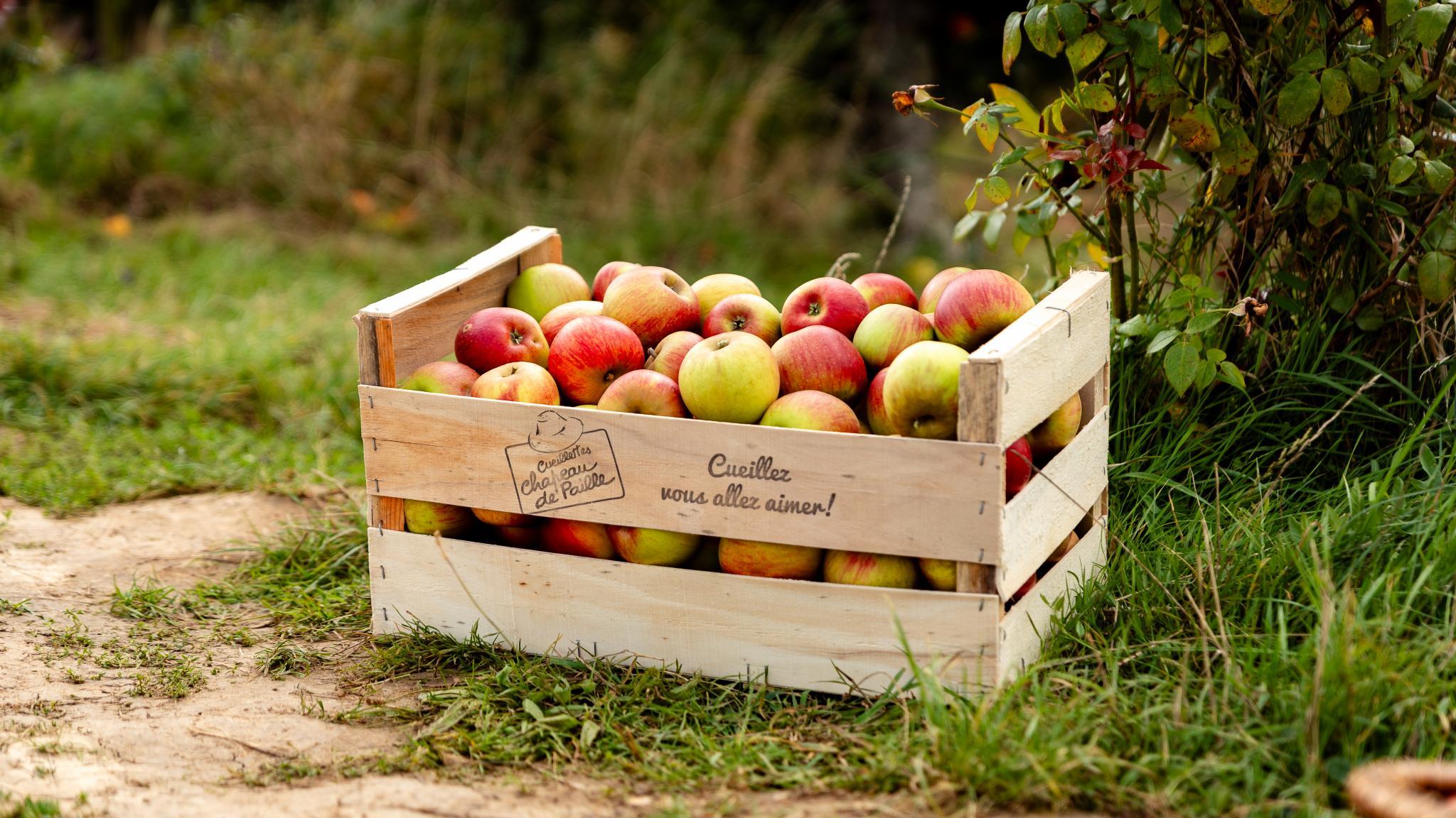 Photo de Cueillette de Torfou