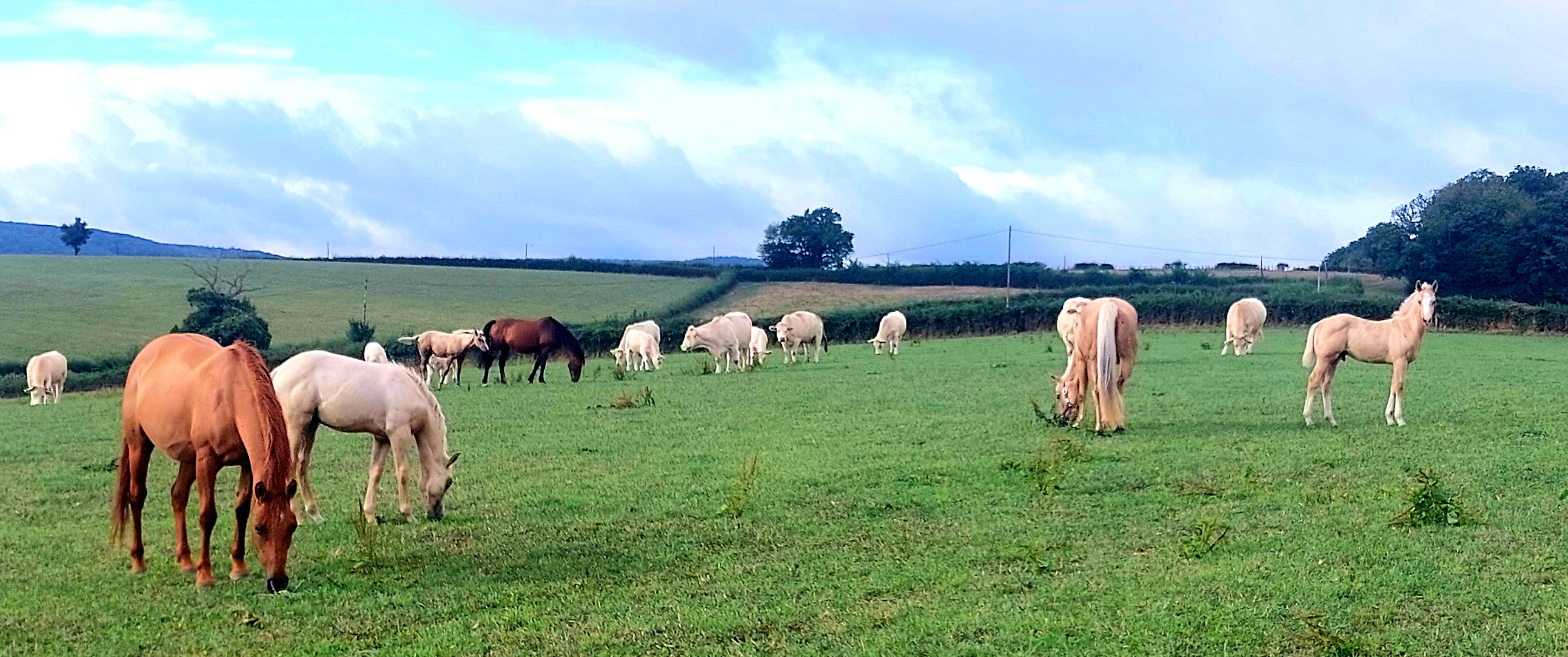 Un p'tit coin de paradis