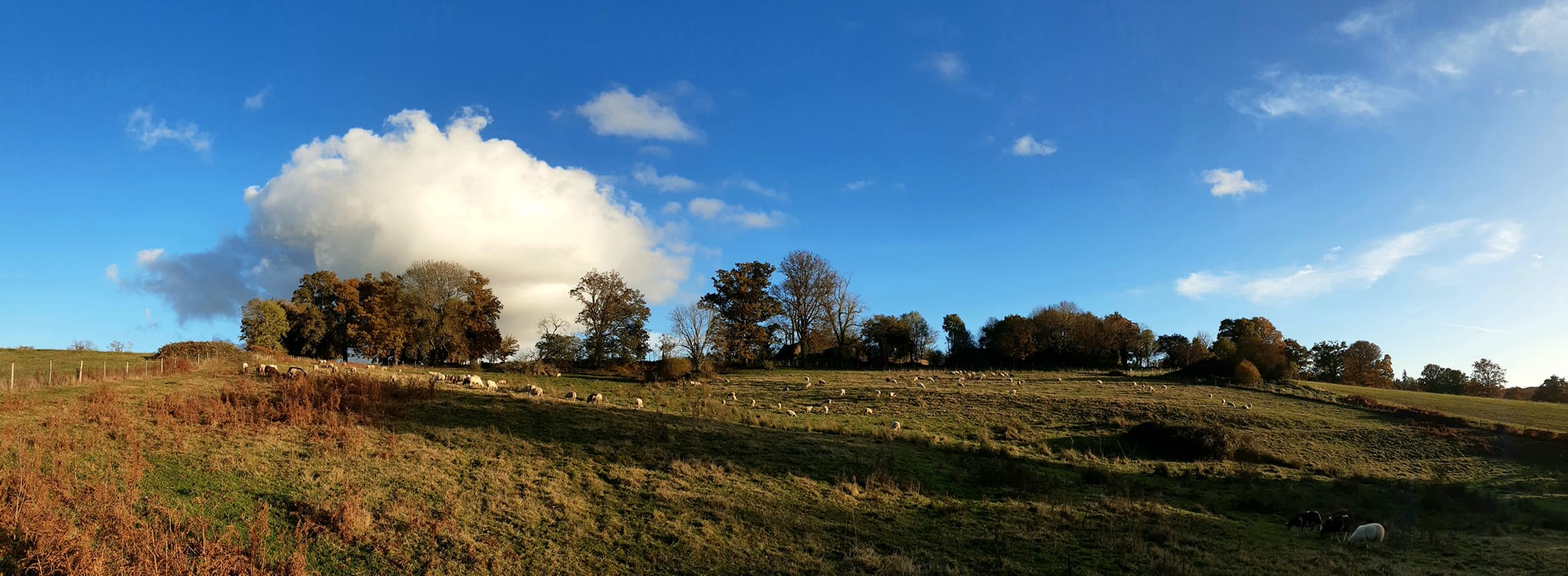 Photo de Ferme Au pré de mon arbre