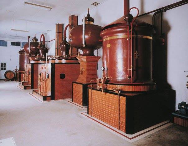 Photo de Visite et dégustation de pineau et cognac
