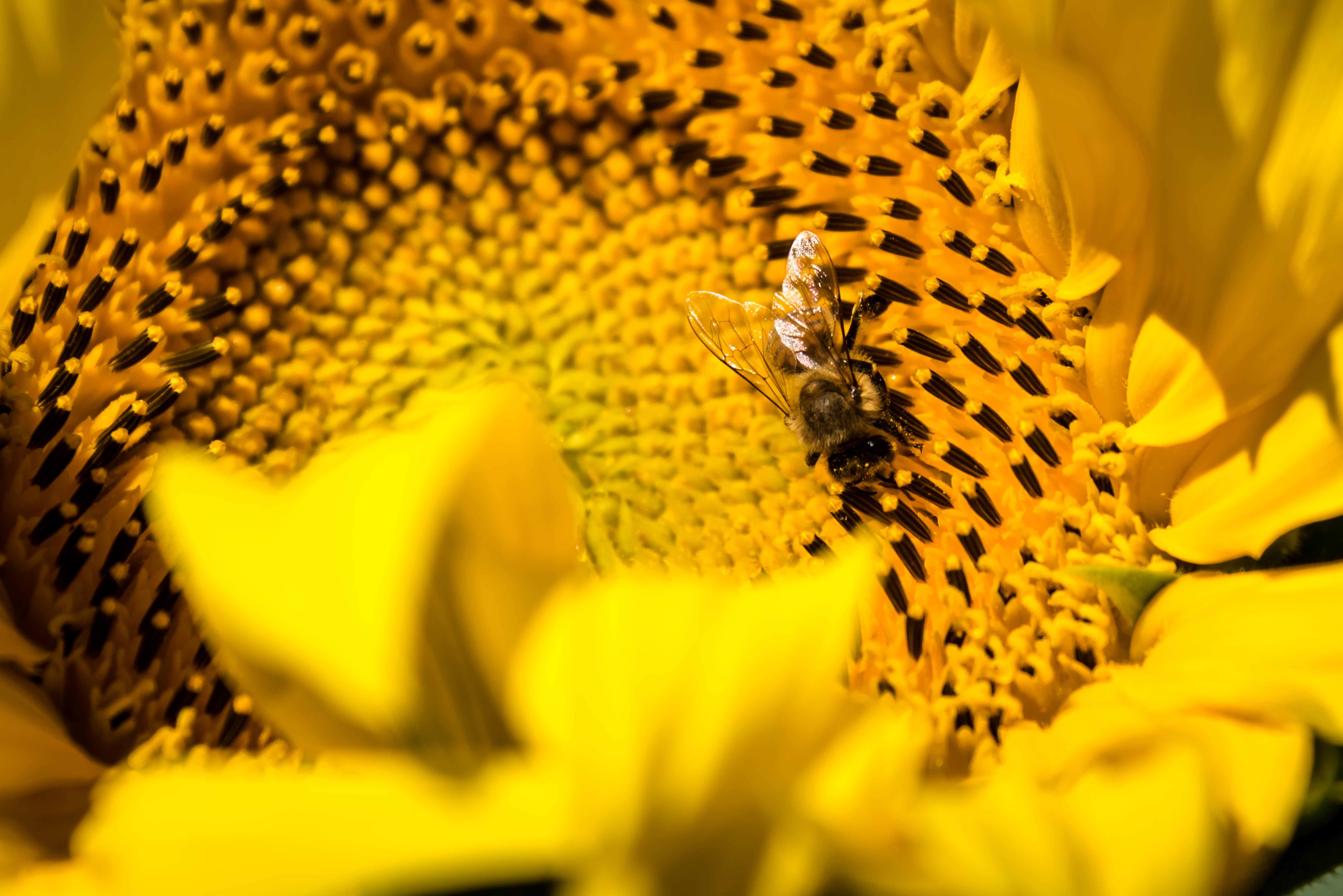 Photo de LA FERME DE FARDISSOU